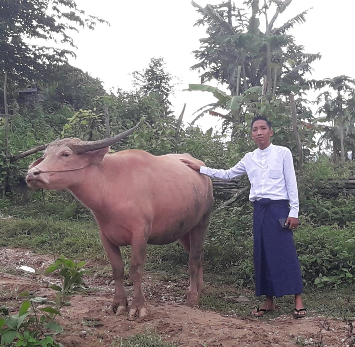 အမ်ားညီေနတာပဲ ဤကို ကြၽဲလို႔ဖတ္လိုက္ၾကေပါ့....။
ဟိုအမတ္ေတြကို ေျပာတာေနာ္....။
ခင္ဗ်ားတို႔ကို ေျပာတယ္ထင္မေနနဲ႔။