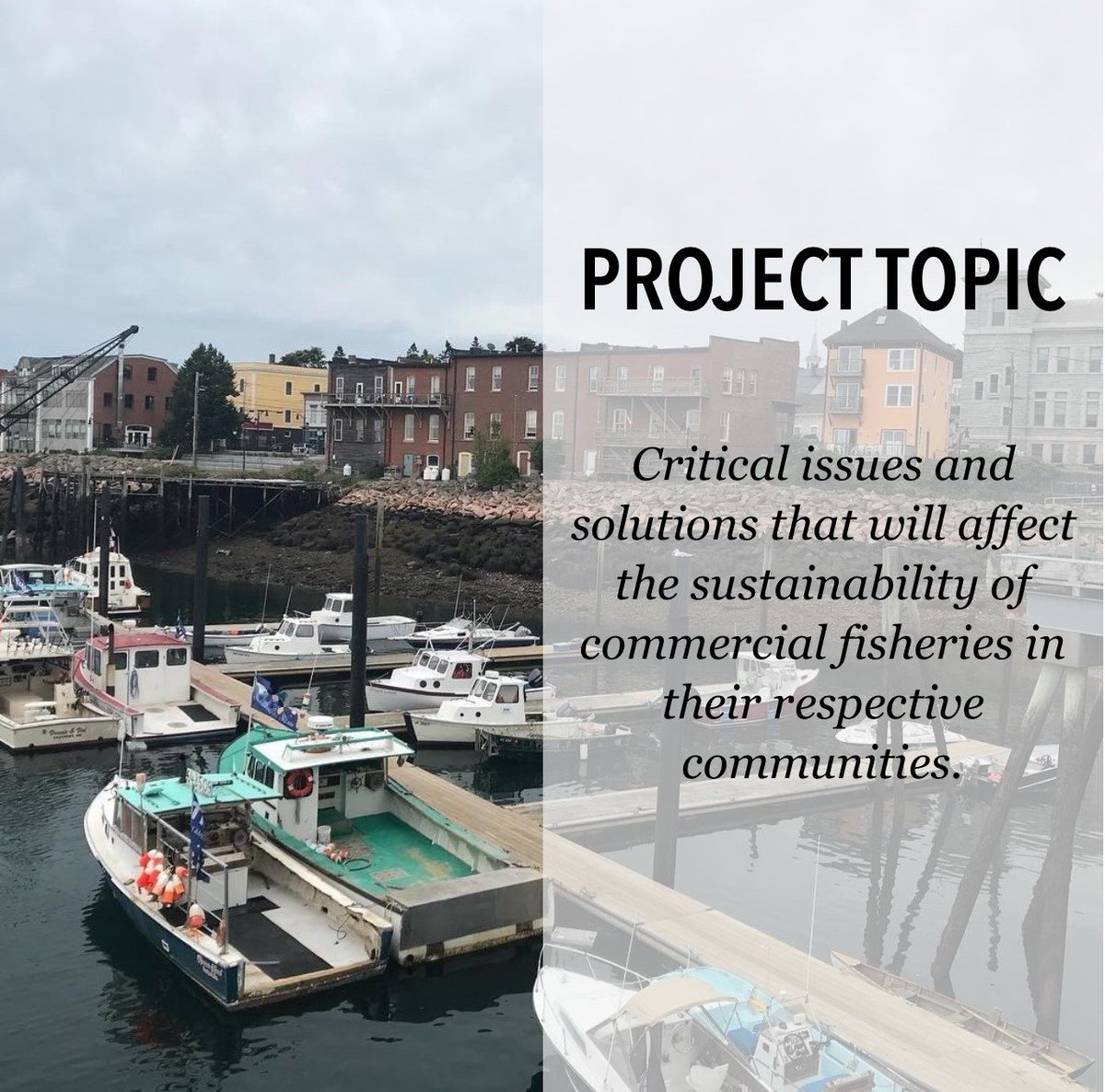 mccfisheries's tweet image. The #EasternMaineSkippersProgram announced its project topic for the school year! #MarineEducation #SaltWaterFreshThinking