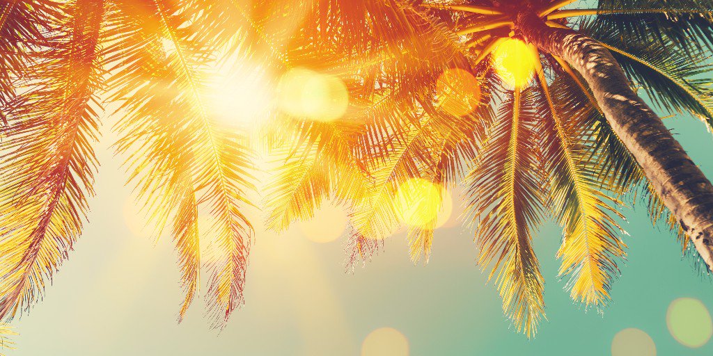 Follow the sun and book your stay by September 25 to get 25% off.
thehuntleyhotel.com/endless-summer…