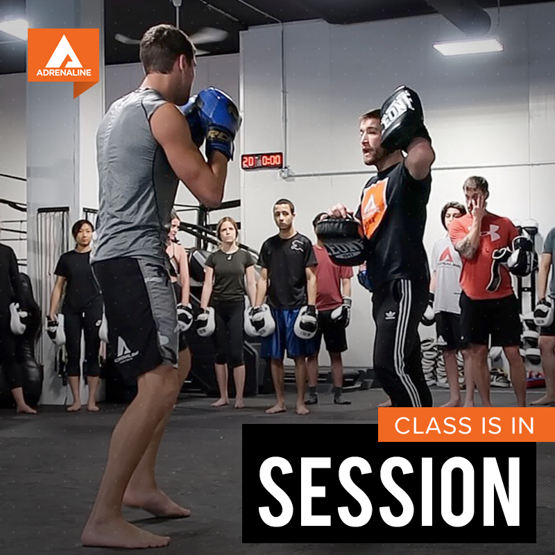 Adrenaline tweet media