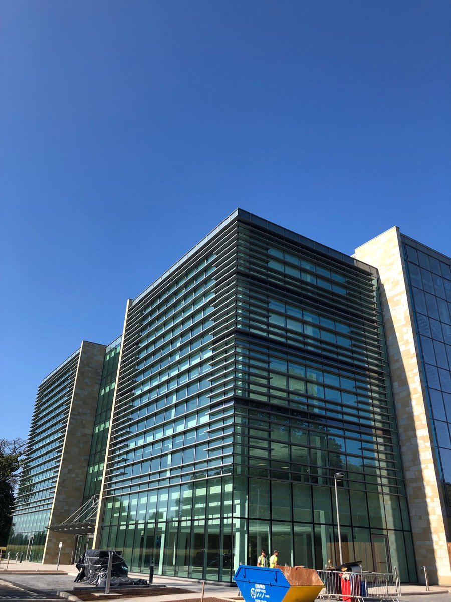 Conor Vallelly tweet media