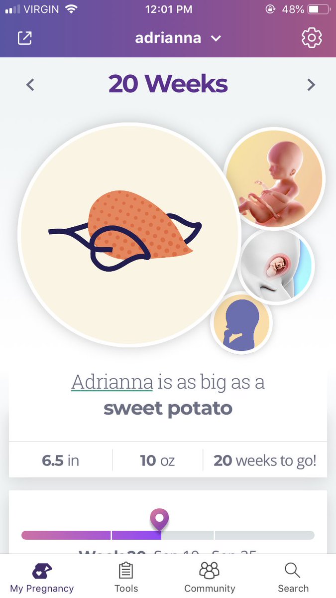 rickilam's tweet photo. We halfway #20weekstogo https://t.co/kqK40FQ9s1