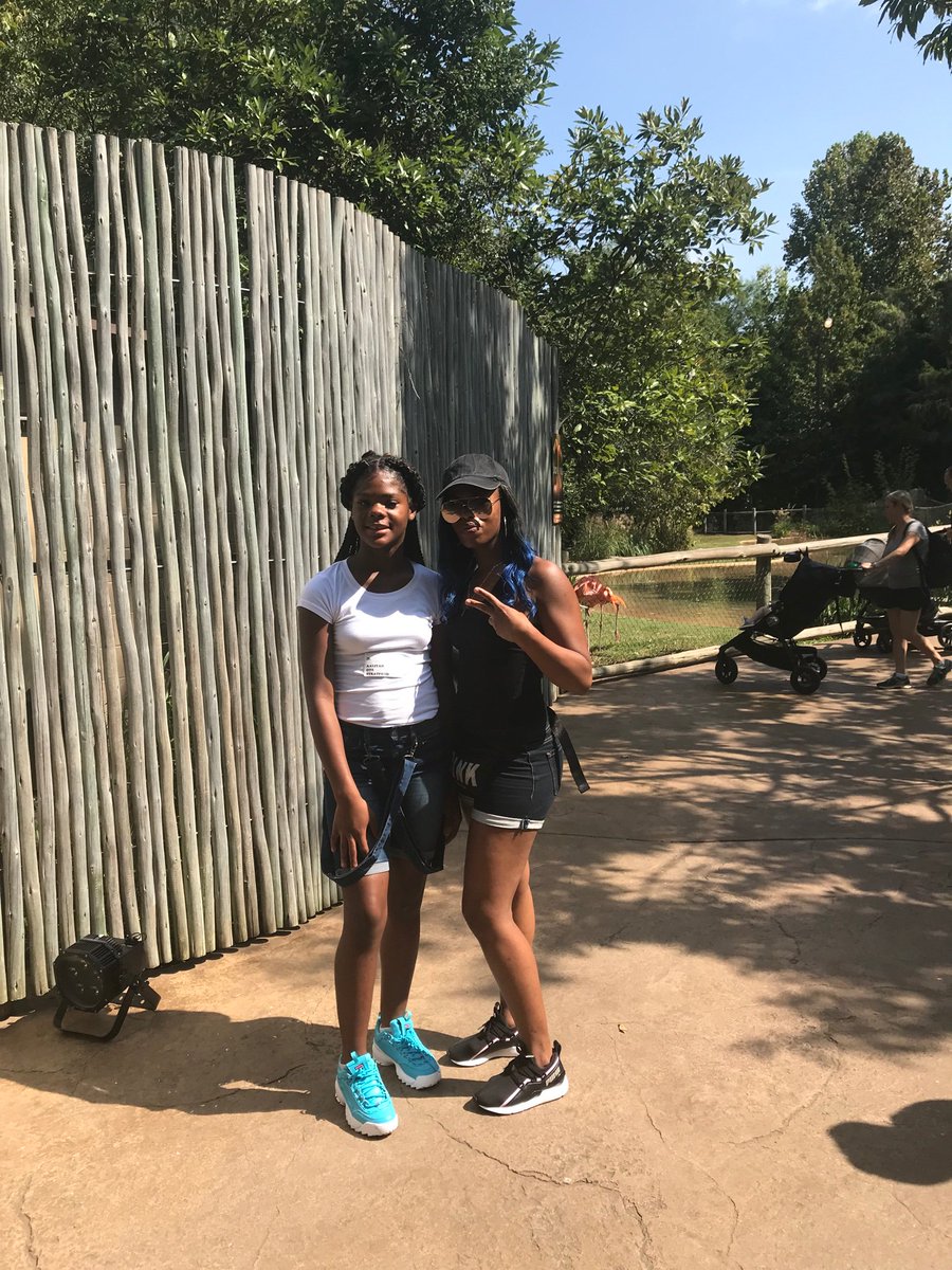 MNPS_STEAM's tweet photo. STEAM Expeditions 
Stratford Lower Campus, 8th grade students, teachers and parents  are joining the fun at the Nashville Zoo field trip! https://t.co/P84JYRuDM2