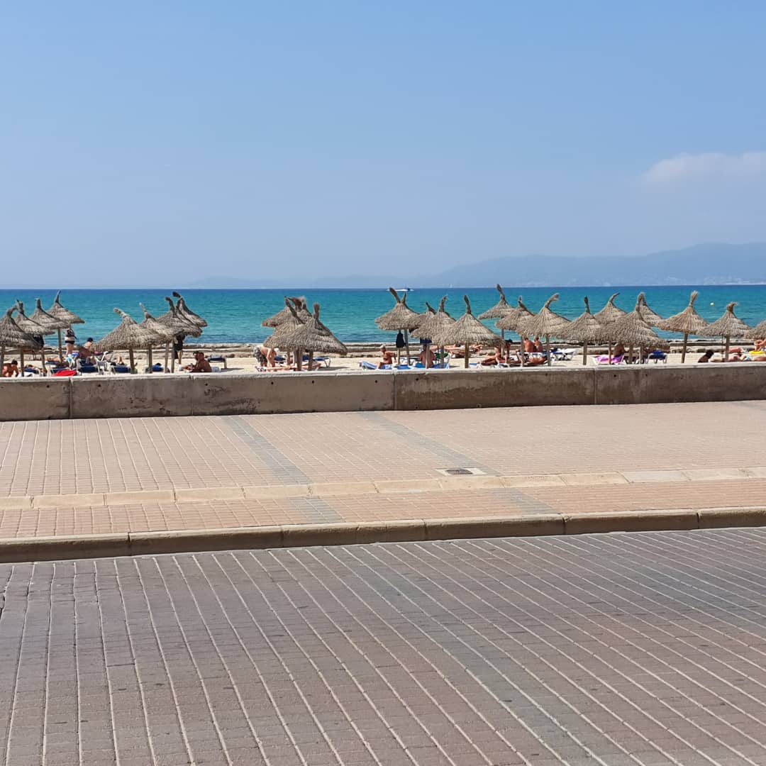 Linzi Scott tweet media