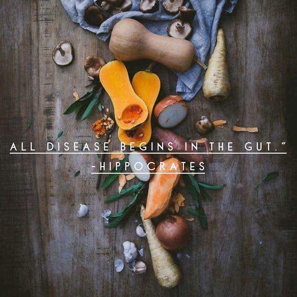 NataschaShaver's tweet image. 70-80% of your immune system lives in your gut! It&apos;s the  2nd BRAIN in your body, so taking care of your gut health is vital to living life to the FULLEST!
#guthealth #plexuscanhelp
shopmyplexus.com/nataschamshaver