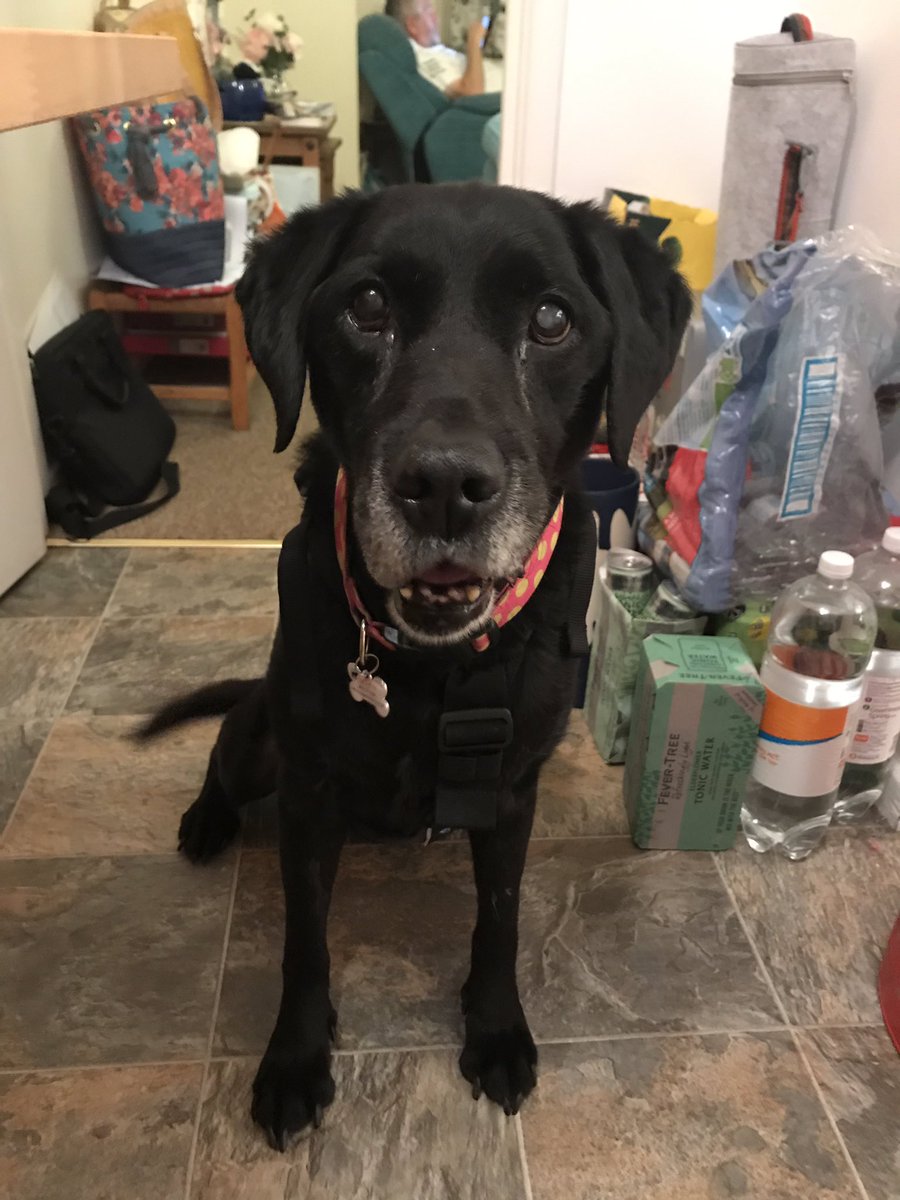Mollie tweet media