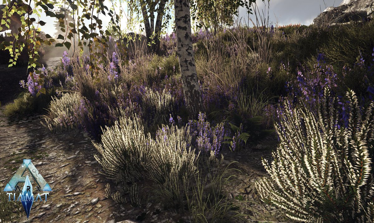 ProjectTiamat's tweet image. I was hacking the #devkit 👀🌳🦖

@survivetheark @ZenRowe @ComplexMinded  #arkmodding #blender #ue4 #foliage #arksurvivalevolved #playark