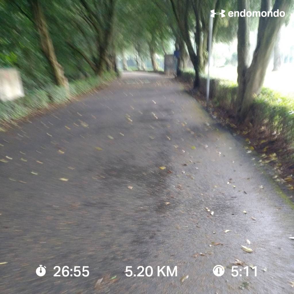 diablomxnet's tweet photo. #yoelegicorrer
Un paso a la vez...y con lluvia.
#aquinadiesejustifica
#PincheClimaMeLaPela
#LoveRunSmile #LosCobardesTeam #AmameTragonComoSoy #Endomondo
#PolarM430 #EpicReact2 #Nike #TortoiseRunProject #TortoiseFamily https://t.co/pGV4SIVwaA