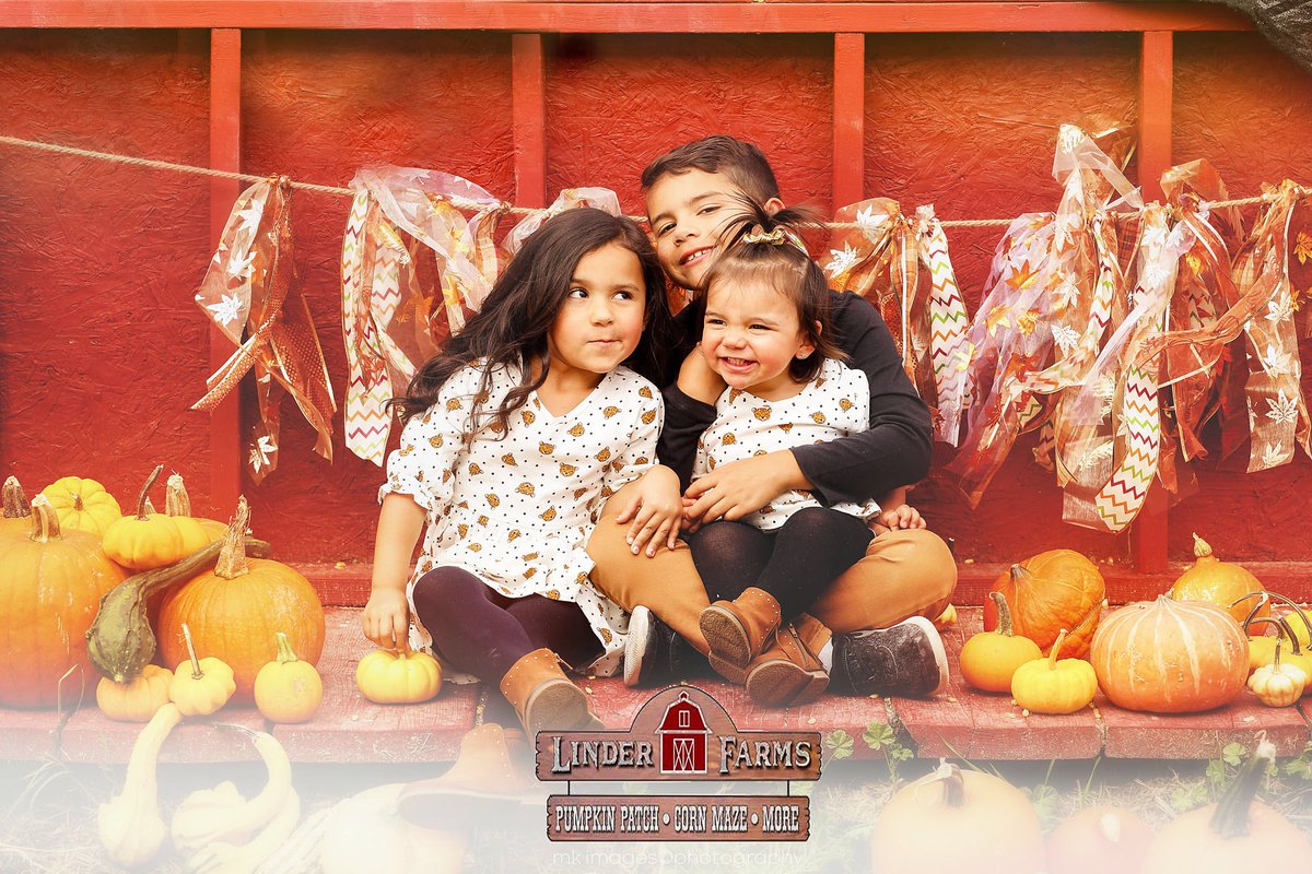 LinderLlc's tweet photo. Open until November 2nd, visit https://t.co/cKSyVrRamL for your shoot! https://t.co/G7KJWrYCK2