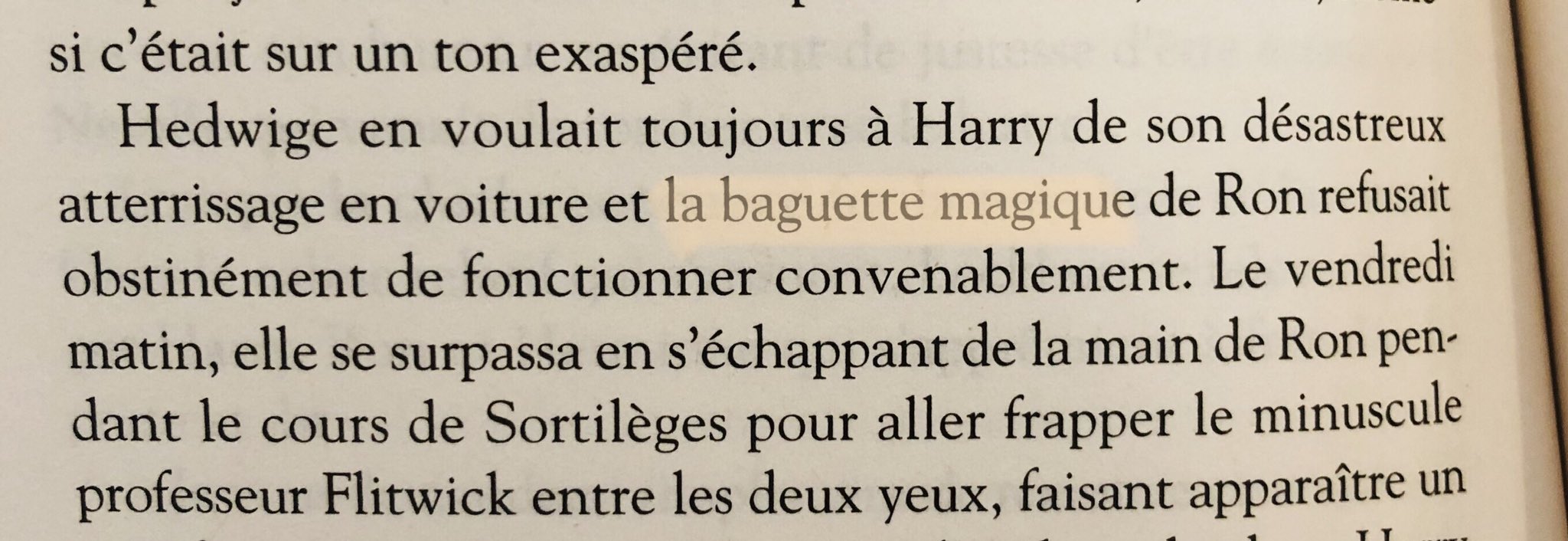 Harry Potter France on X: Ces bagues sont magnifiques.