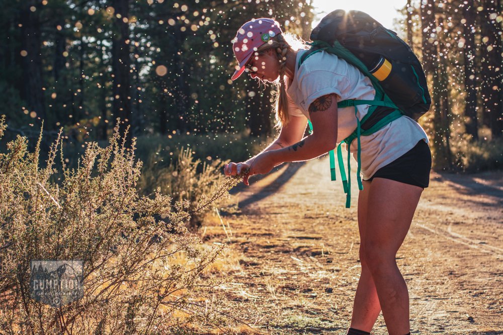 The 10 Best Hiking Backpacks of 2019: bit.ly/2mpyRvl