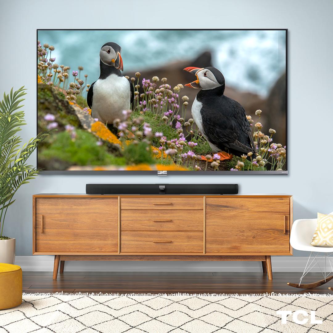 TCL_USA's tweet image. Because you asked: The all-new 6-Series is now available. #TCLTV #6Series bit.ly/6SeriesQLED