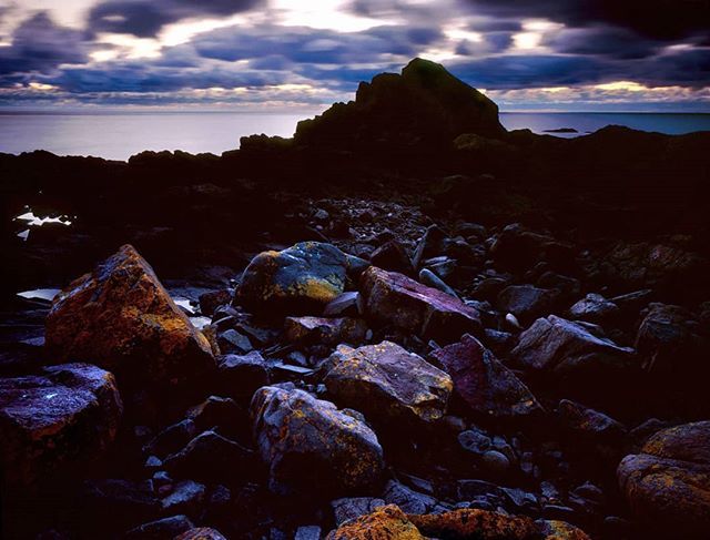 Ron Smid tweet media