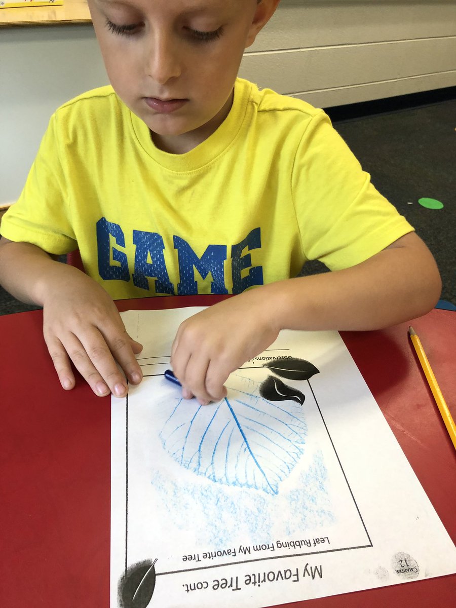 kinder_stem's tweet photo. Leaf rubbing this week in STEM. We are ready for fall. 🍂🍁 #KinderSTEM https://t.co/fzNZcaZmfj