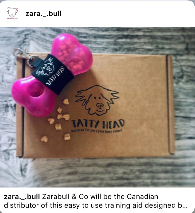 tattyheaduk's tweet photo. We have some exciting news 🐶#tattyhead will soon be available in #Canada through our distributor #Zarabull 🐾 #canadapups #canadianhounds #tattyinternational https://t.co/d9MSjP8fGl