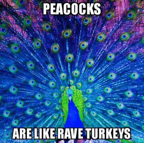 Be More Peacock!