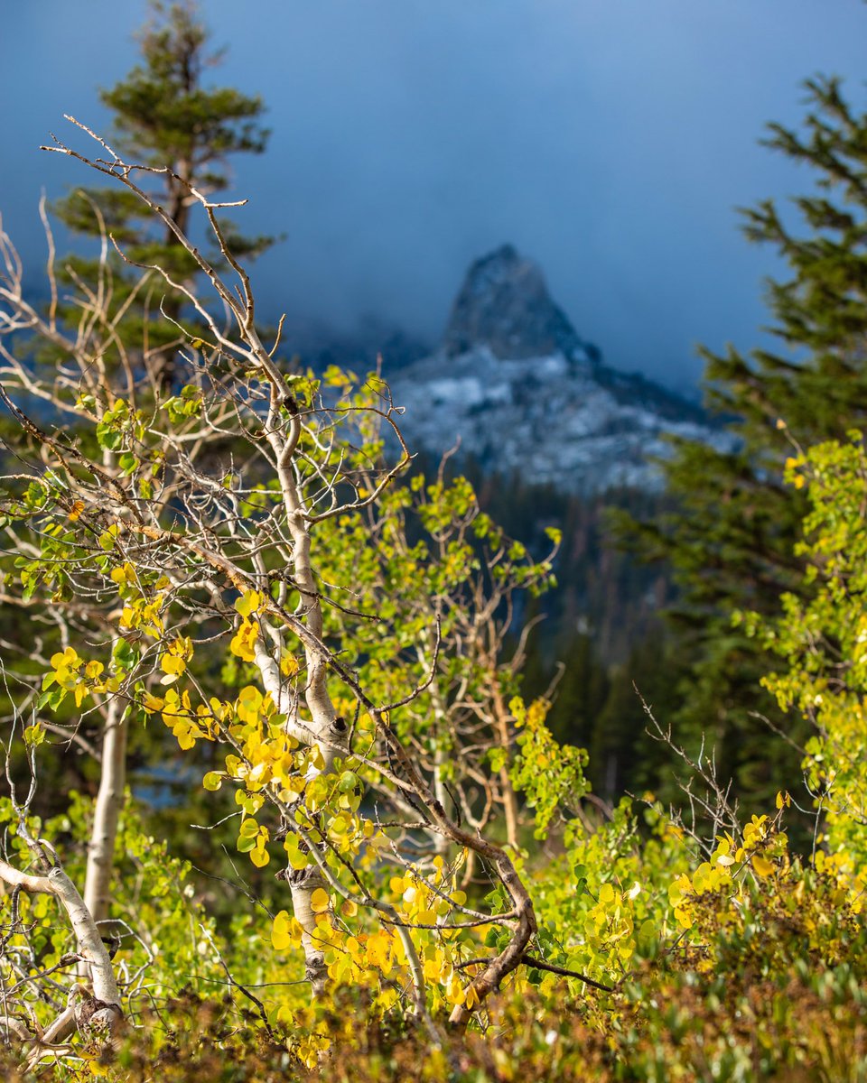 visitmammoth's tweet photo. Felt a whole lot like fall around town this morning!
❄️🍁❄️ https://t.co/Jsp7M0MaeQ