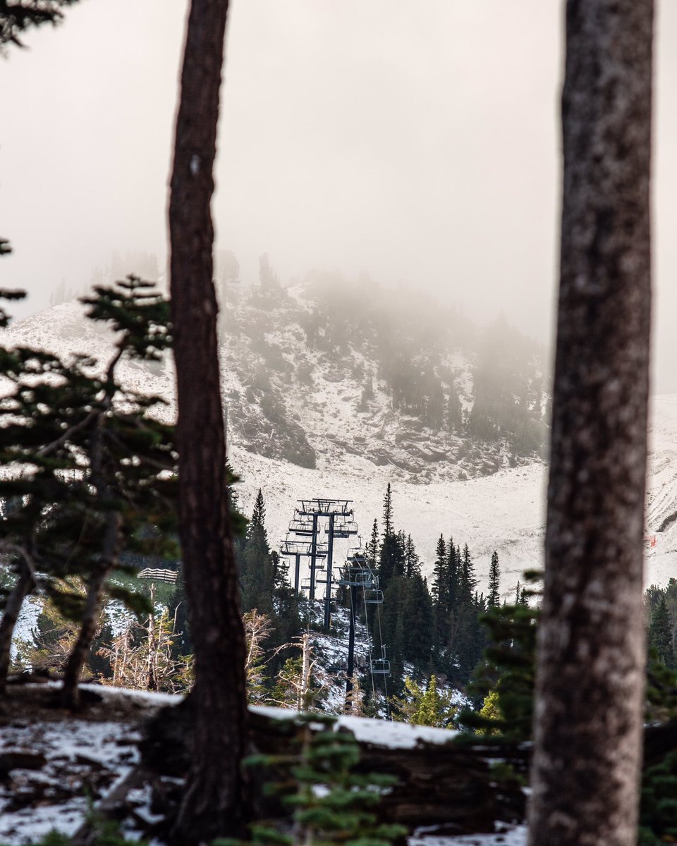 visitmammoth's tweet photo. Felt a whole lot like fall around town this morning!
❄️🍁❄️ https://t.co/Jsp7M0MaeQ