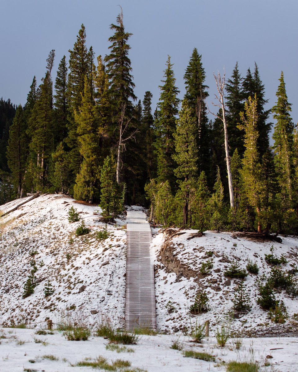 Felt a whole lot like fall around town this morning!
❄️🍁❄️