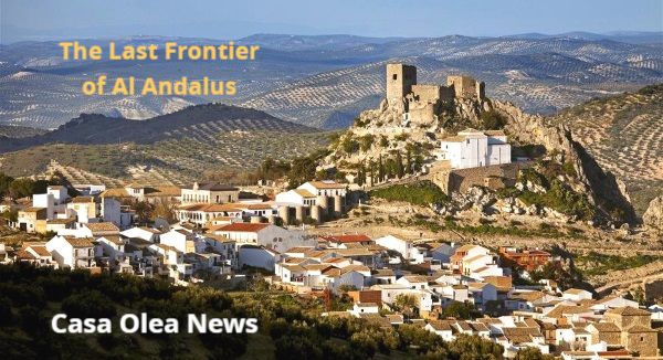 Casa Olea tweet media