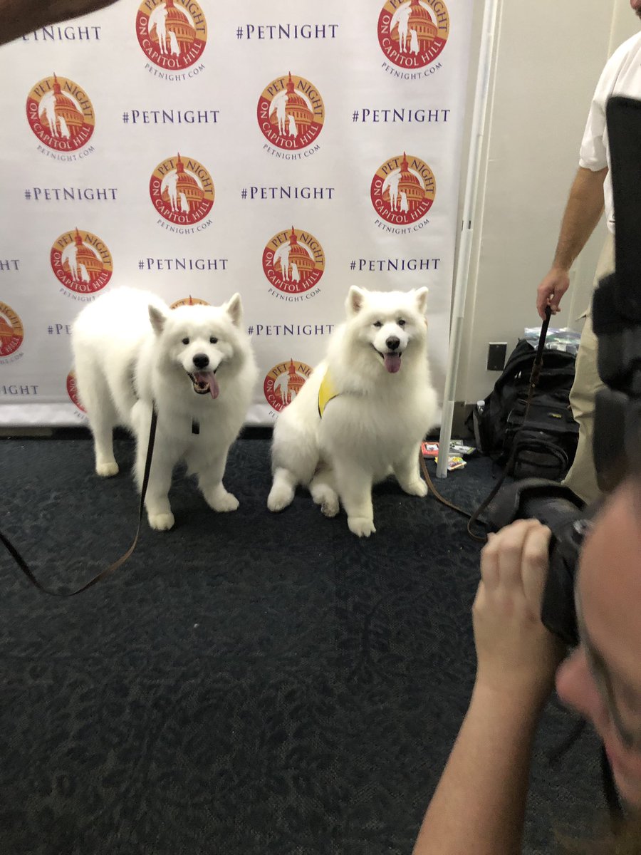 randyvalpy's tweet image. Just wrapped up an amazing two days in Washington DC attending the @HABRITweets Pet Night on Capital Hill and the HABRI steering committe meeting. @LifeLearnInc is very proud to be a supporter of HABRI and the amazing work that they do on the human animal bond.