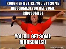__rough_er's tweet photo. Even @Oprah wants to vote for us #organellevote2019 https://t.co/EhIkWSRyrX