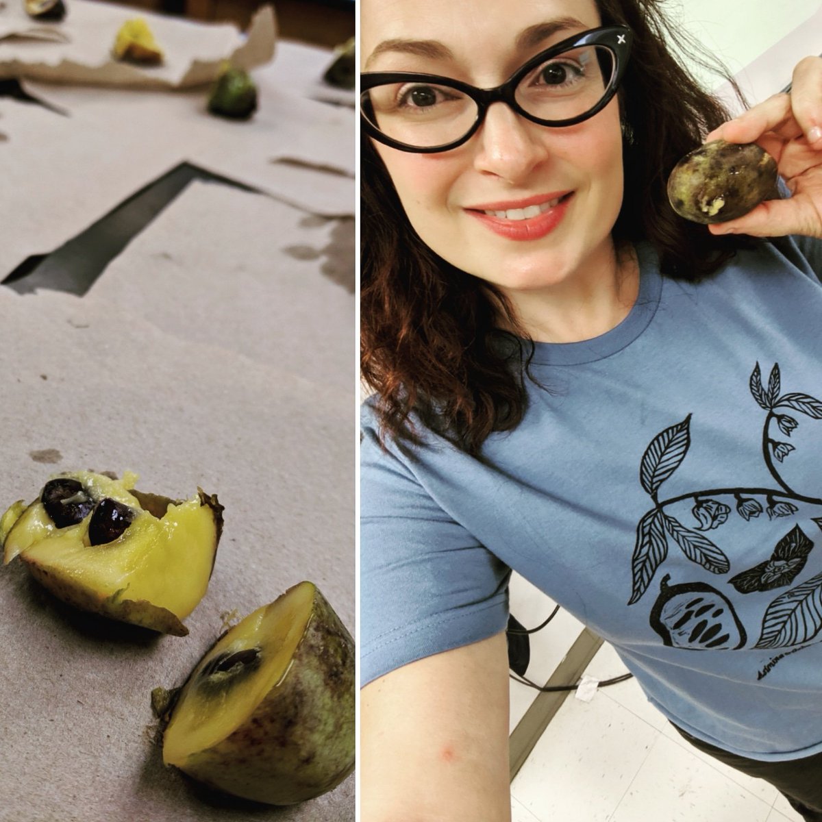 Jenskie_Science's tweet photo. Happy #nationalpawpawday _ I brought pawpaws for my students to try and we're learning about the fruit today in #environmentalscienceclass https://t.co/0FDiYjDfRb