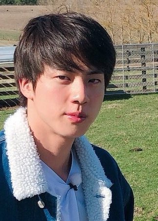 Taylor Swift as Kim Seokjin