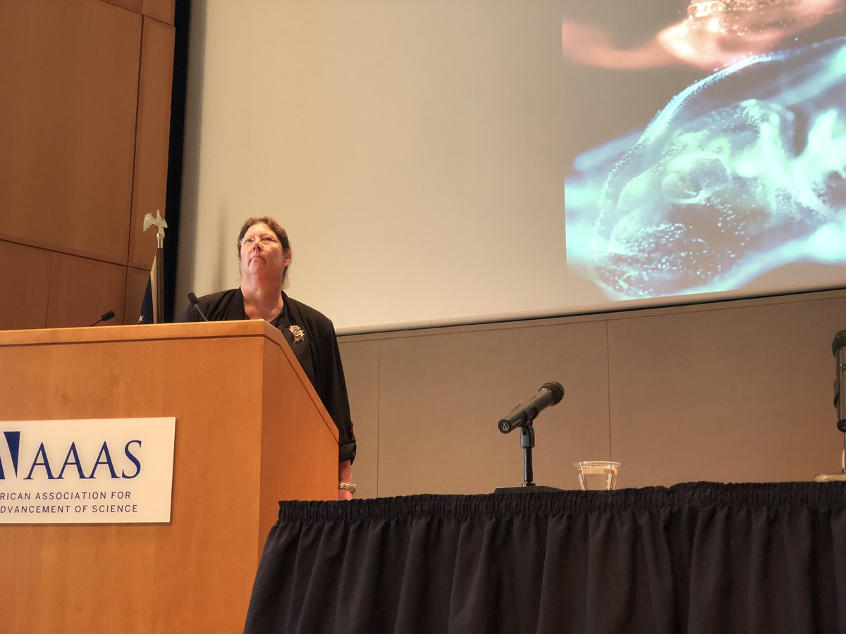 gcmorr's tweet photo. Panel 3 begins, moderated by Laura Kolb and including Hugo Destaillats, Heather Stapleton, Lesliam Quiroìs-Alcalaì and Matt Coggon #aaascie #IndoorChem @aaas @SloanFoundation https://t.co/DNpqPYTKa3