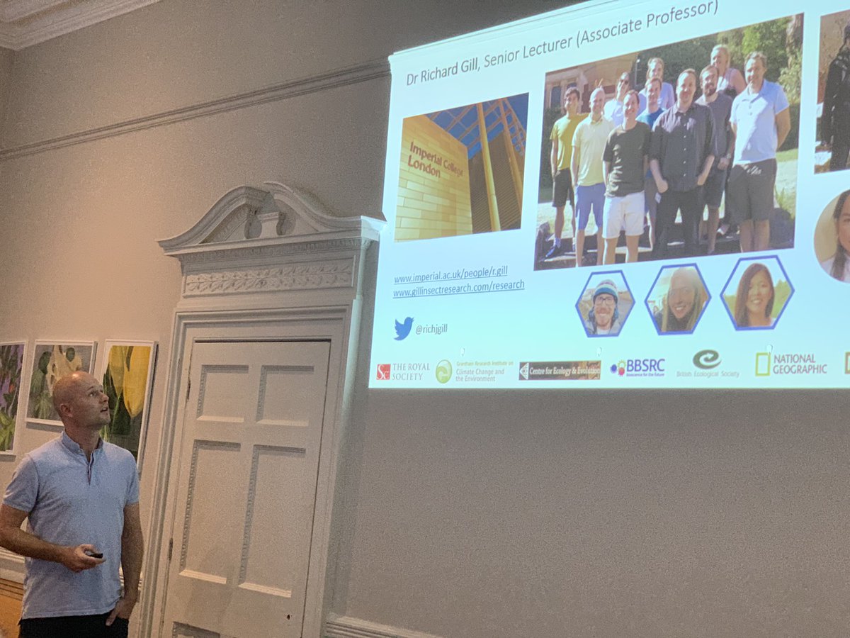 AkkadiumCollege's tweet photo. Dr Richard Gill - @richjgill - @ImperialCollege shares insights into the negative effects of chronic stress on the health of #bee colonies. #RoyalSocBio https://t.co/mPvqjPuT0i