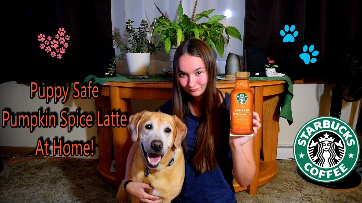 Ashley Bergmann (@ashleybergie) on Twitter photo New Video is up!! Making my dog her very own #PumpkinSpiceLatte !! 🐾 youtu.be/uFQCW0Nz72w 🐾 #YouTubers #SmallYouTubersUnite #smallyoutuber @YTGainTrain <a href="/YouTubeBlastOff/">YouTube Blast Off</a> <a href="/SmallerYoutubes/">Smaller Youtubers</a> #youtubechannel #smallyoutubercommunity New Video is up!! Making my dog her very own #PumpkinSpiceLatte !! 🐾 youtu.be/uFQCW0Nz72w 🐾 #YouTubers #SmallYouTubersUnite #smallyoutuber @YTGainTrain <a href="/YouTubeBlastOff/">YouTube Blast Off</a> <a href="/SmallerYoutubes/">Smaller Youtubers</a> #youtubechannel #smallyoutubercommunity