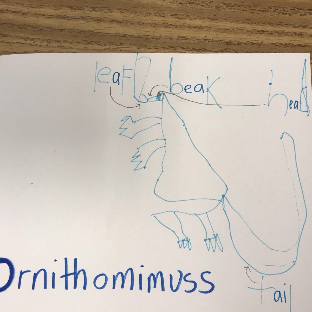 gotagoodbook's tweet photo. The student read about dinosaurs and then wrote about his favorites and we even turned him into a dinosaur. We celebrated his book by reading it to a friend. #roamingaroundtheknown #kwbpride https://t.co/PfQ5ZT8ObV