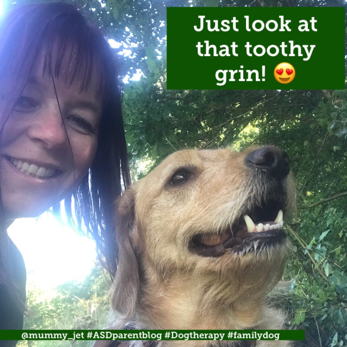 mummy_jet's tweet image. Dog walk heaven2 #exerciseforthemind #dogtherapy #feelingpositive #asdparentblog #dogsforgood #autism #learningdifficulties #keepgoing #fedupoftheconstantbattle