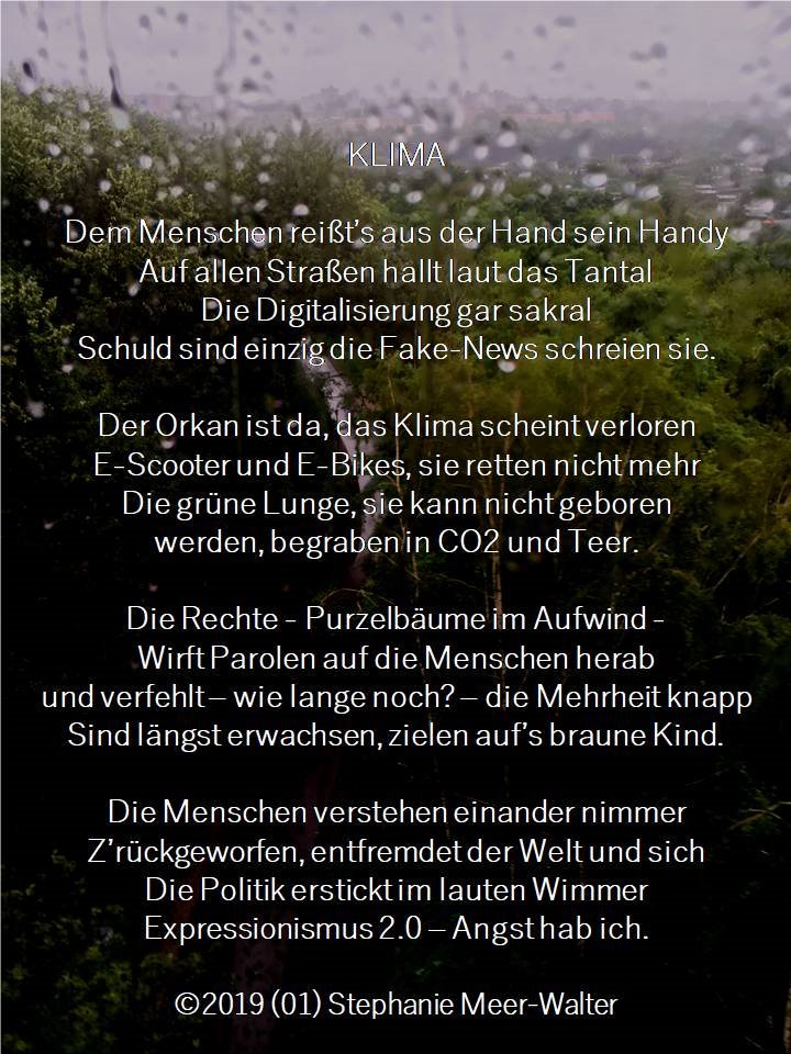 Klima - Bestandsaufnahme einer Nation
#Klima #Krise #Expressionismus #Gesellschaft #Angst