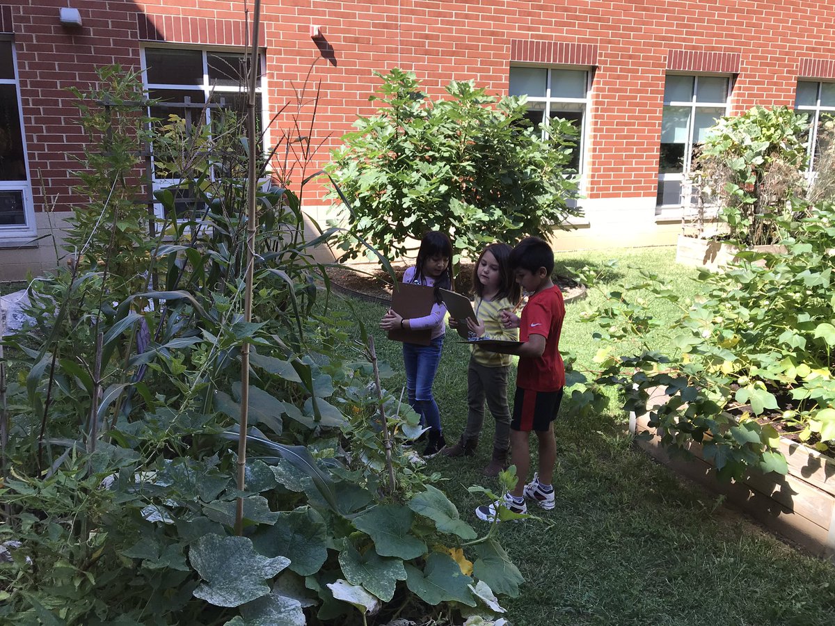 MrsMorell_E's tweet photo. It’s a beautiful day for a Scavenger hunt in our “Garden of the Stars” #math skills #fdestars https://t.co/D1CQSdGiIv