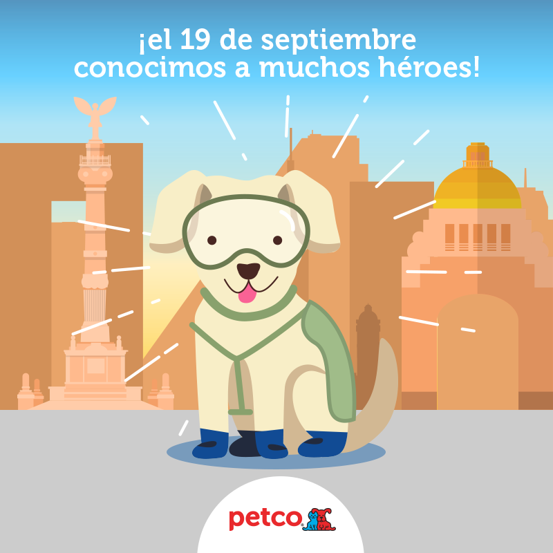 PetcoMexico's tweet photo. En el #Sismo19S, 4 patitas hicieron una gran diferencia y salvaron muchas vidas. A todos esos héroes ¡Gracias! 🐾 #19Septiembre https://t.co/wN4bZCDRNh