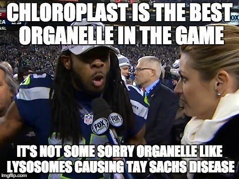 DonSwedish's tweet photo. #OrganelleVote2019 https://t.co/jXI68P6PFL