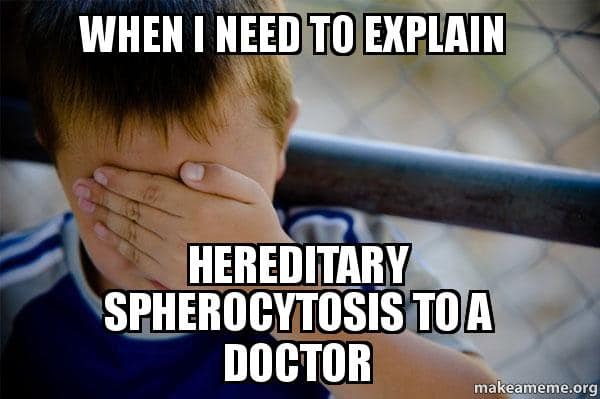 HereditarySphe1's tweet photo. #Hereditaryspherocytosis #RareDisease
#awareness https://t.co/ROrgJDBE0A