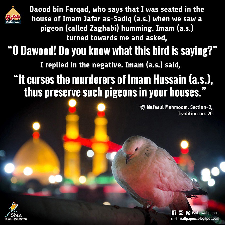 Wallpaper Kar Raha Hai