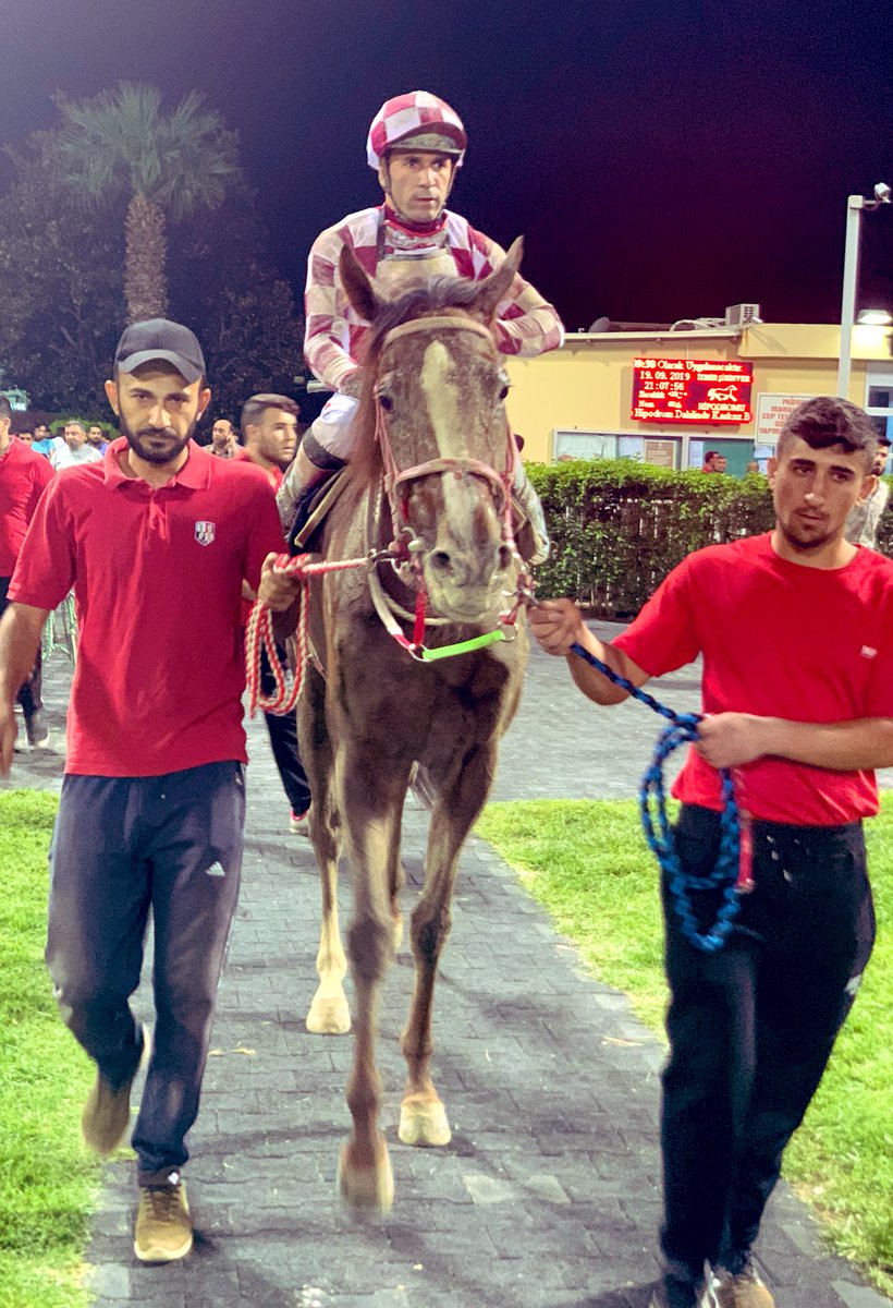 jilethorse's tweet photo. bunu hep yapıyorum bi maşallahınızı alırım dedi 🏇🏼🏇🏼🧿🧿 #calliente https://t.co/6CZRztmabC