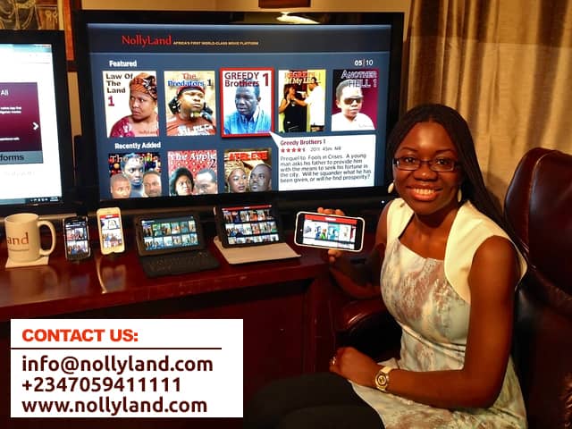 NollyLand tweet media