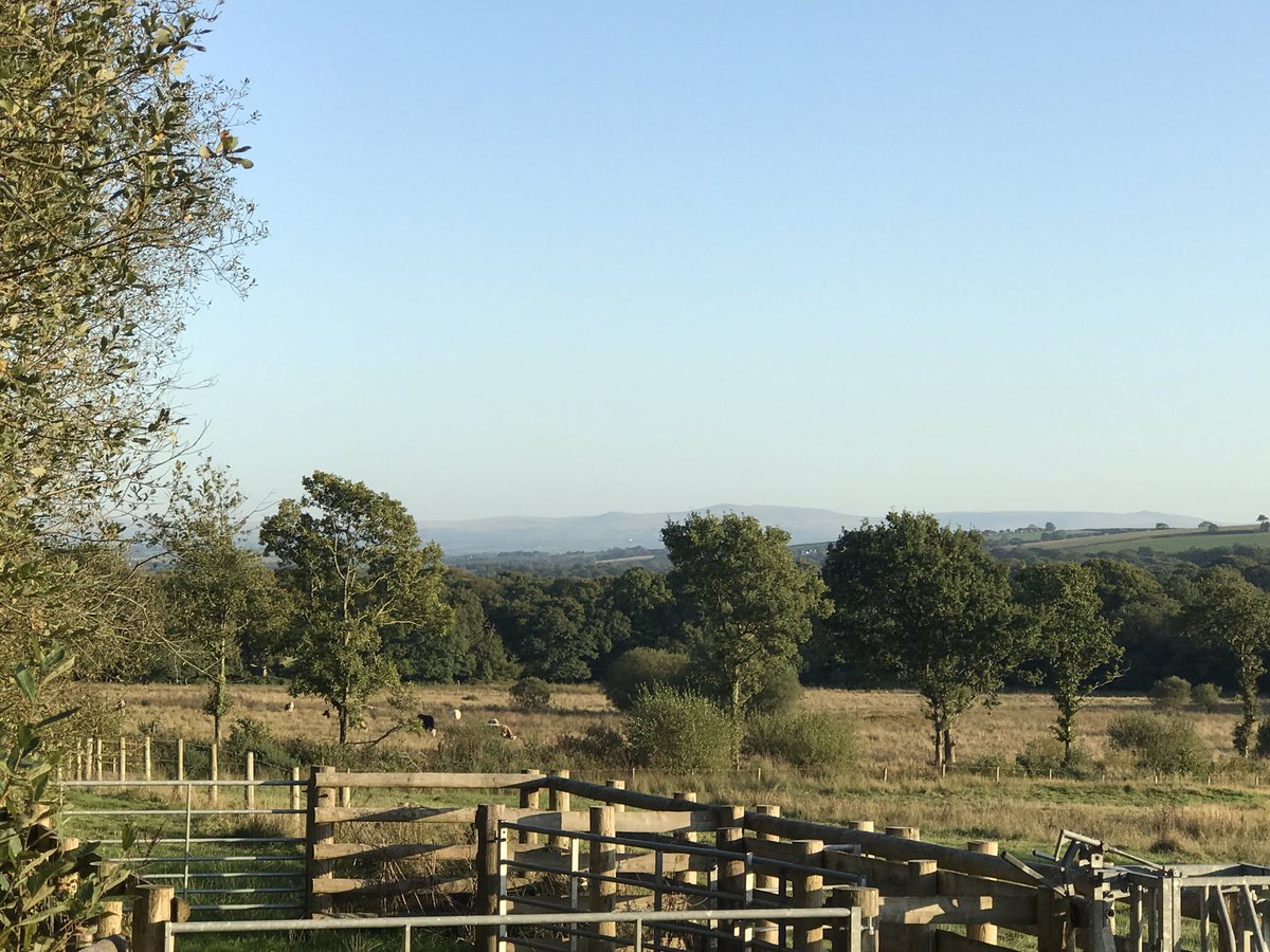 MelisxHoneybee's tweet photo. Another absolutely fabulous evening stroll with Rosie 😊 After dropping my last flowers delivery a chance to walk along the Tarka Trail from Yarde.  So warm, so peaceful, so lucky ☀️ #grateful #tobeshared https://t.co/TI5RUeHFdf