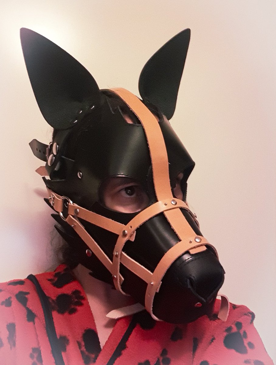 chillis_leather's tweet photo. Who let out the big bad wolf x3 
Muzzle WIP for the wolf hood 🐺🌕

#wolfhood #wolfplay #wolfmask #muzzle #WIP https://t.co/7b0uxzzLUv