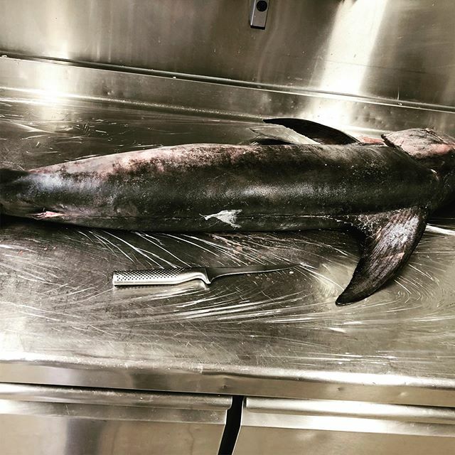 clossaintbasile's tweet photo. @leclossaintbasile a reçu ce matin un « petit » #espadon de ligne de Méditerranée de 14kg à la carte à partir de demain en #ceviche #guacamole #coriandre #gastronomie #leclossaintbasile #maitrerestaurateur #yummy #foodporn #mougins #locavore https://t.co/x0XZLtvL7Z https://t.co/wUkNWWavvw