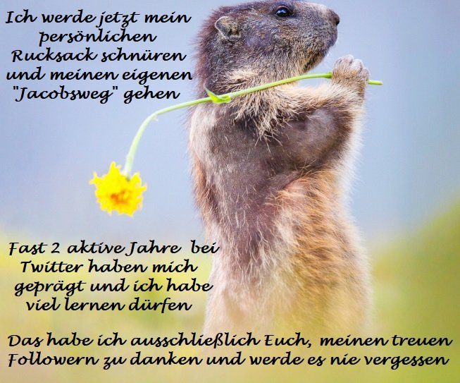 Pҽɾԃιƚα On Twitter Nur Wenige Wort Alles