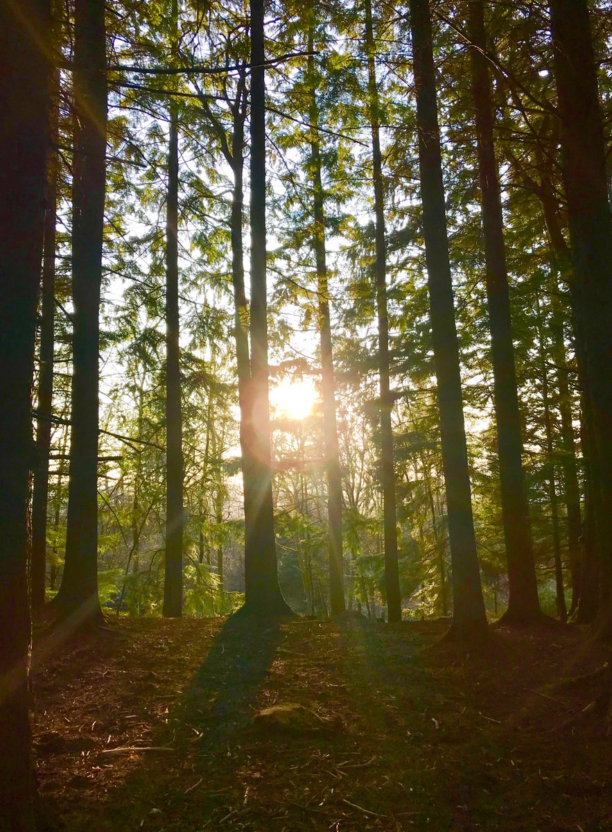 Sunset on another beautiful day!!! Thanks Mother Nature 😁😁😁 ⁦<a href="/Outlander_STARZ/">Outlander Universe</a>⁩