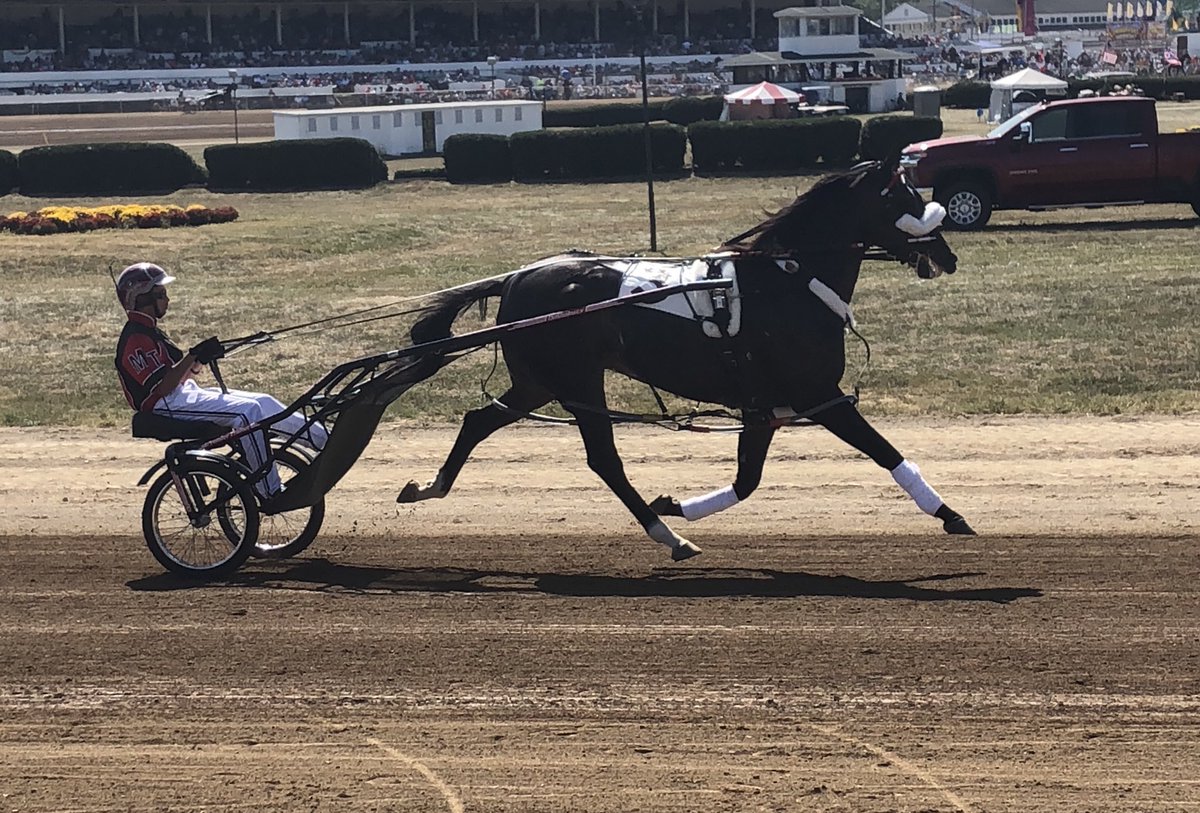 SVFstallions's tweet photo. We always love Jug Day, and we can’t wait for the main event, but we’re also incredibly excited for Wiggle It Jiggleit’s return in the 12th! Good luck to him and #TeamTeague! #LBJ19 https://t.co/icr0DUfxVq