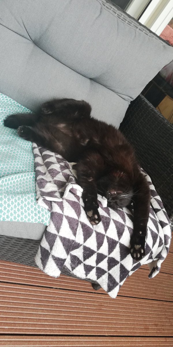 LyliJess's tweet photo. Mon chat, Milka, a disparu depuis 2 jours. À Francheville-Alaï(banlieue de Lyon), venez en DM si vous habitez par-là. Si vous n'êtes pas du coin, svp faites tourner. Il a 9ans, est hyper sociable, pas craintif. Il est pucé. Ah, il a la queue cassée. Merci !!! #chatdisparu https://t.co/K9oYuA8aIQ