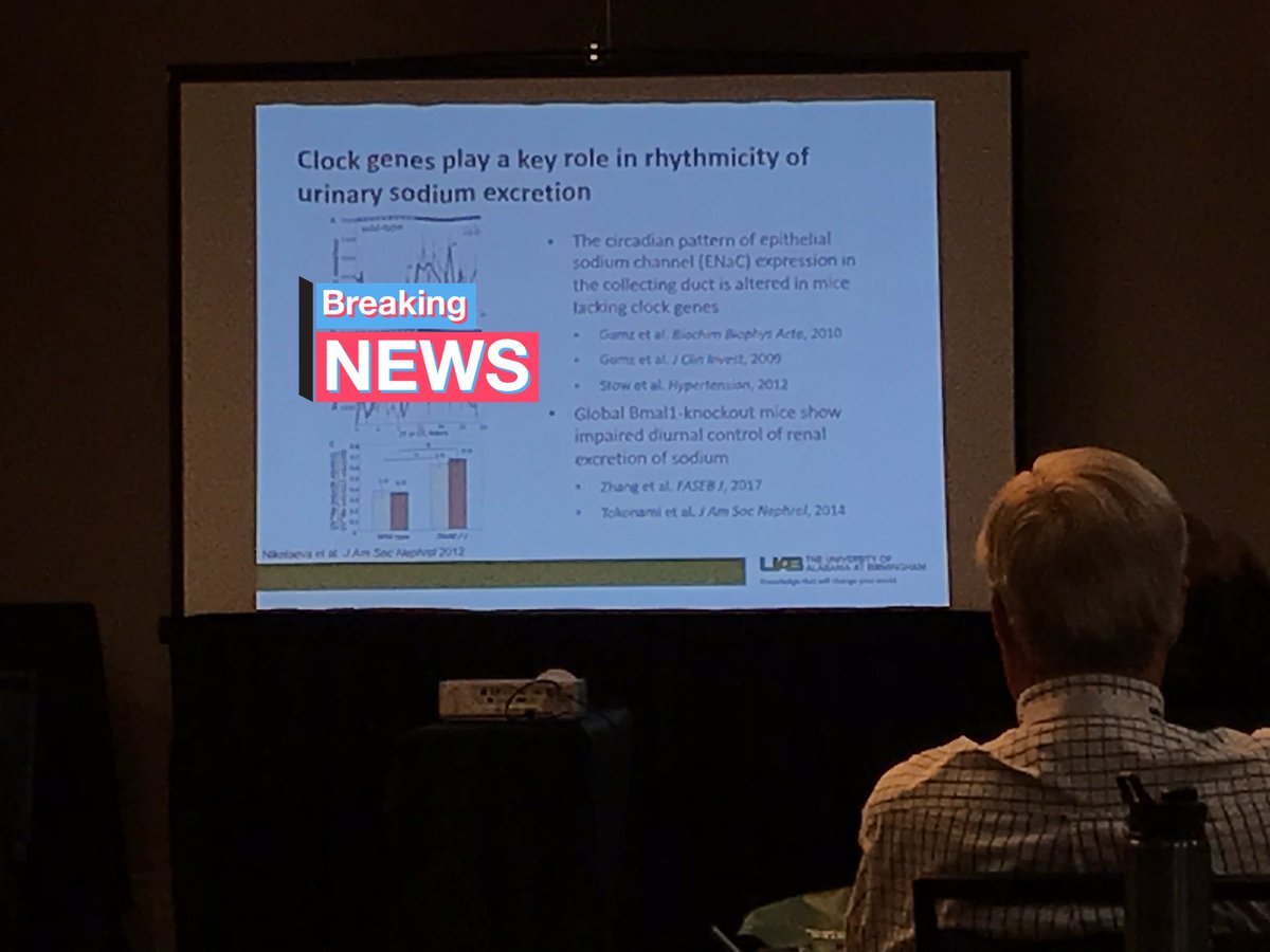 AnberithaT's tweet photo. Most salt is excreted during a specific time range during the day. Read more of Dr. Orlando Gutierrez work on the #ClockGene & its role in #sodium excretion. @UABCardiology #CCVC19 #RedefiningHealthLLC https://t.co/B1O6Iec66u