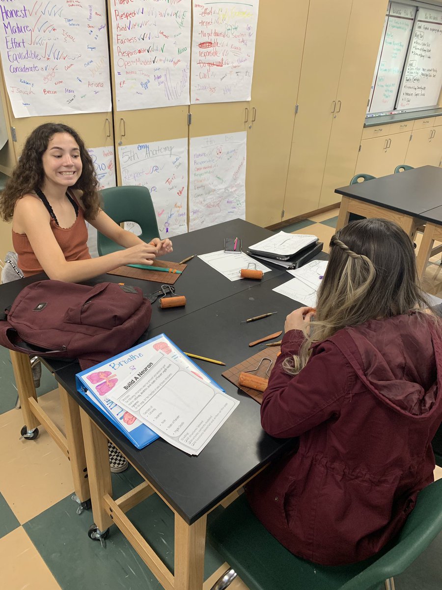 Building neurons in anatomy! #SCCAbears